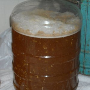 HoneyWheatFermenting