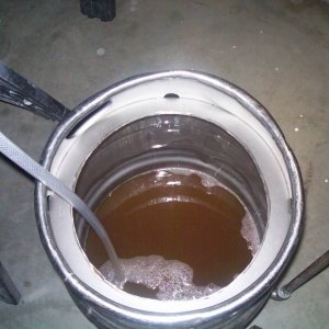 Beer
