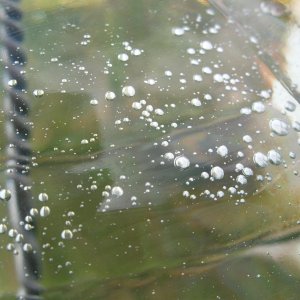 Oily_Bubbles
