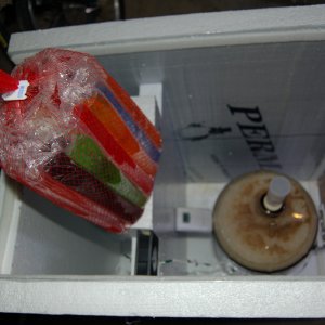 Bag_O_Freezer_Pops