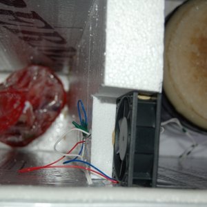 Fan_Wiring