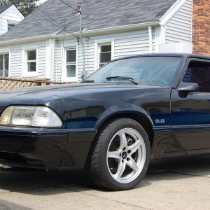 mustang4