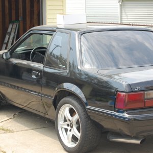 Mustang2