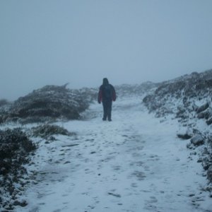 HikingwithScouts