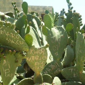Malta_Grafeti