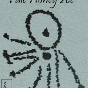 Summer_Solstice_Pale_Honey_Ale_70_