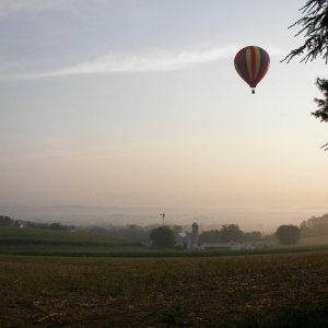 100_22351
