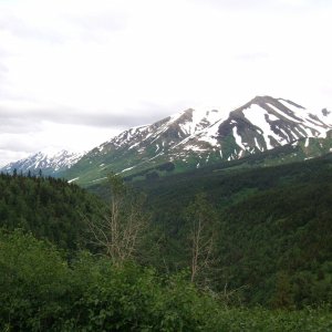 AlaskaOntheSewardHighway