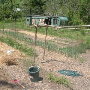 Partofthegarden
