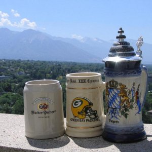 Steinswithamountainview