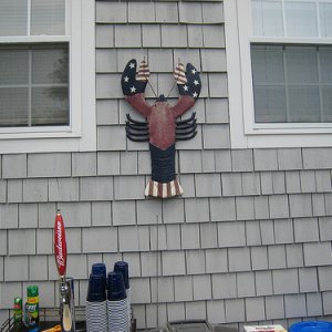 theofficiallobsterofthe4thofjuly