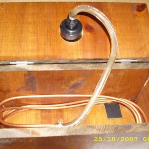 RealAle