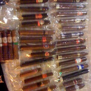 Newbie_Sampler_Trade_2