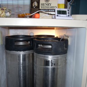 Kegerator-Inside2