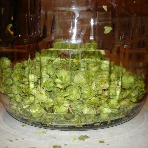 2008_Haus_Amber_001