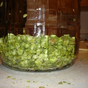 2008_Haus_Amber_002