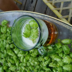 freshhopale