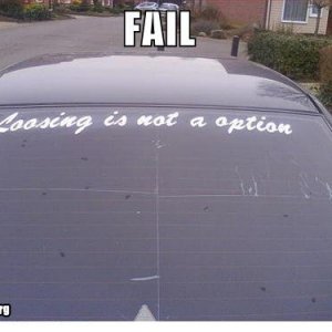 LooseforEd