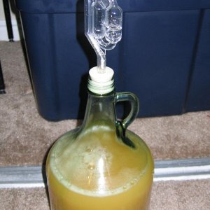 TestBatchofaSpicedverofEdWortsApfelWein