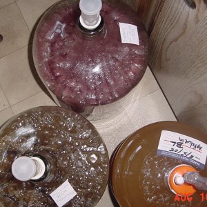 DSC00036
