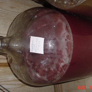 DSC00038