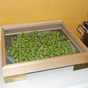hops10