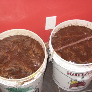 Primaryoatmealstout