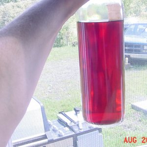 DSC00040