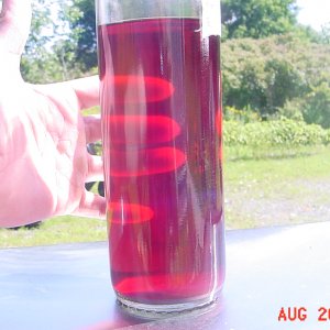 DSC00041