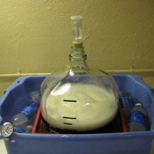 FermentBucket