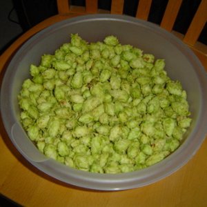 Cascadeatpicking