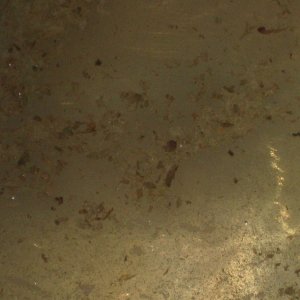 IMG_03611