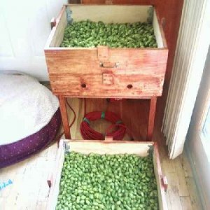 HopsinOast