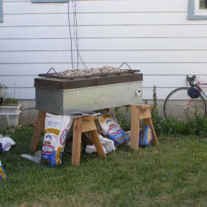 Piginthecookergiantbroiler