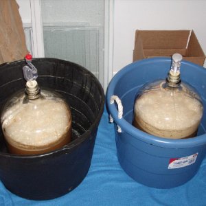 BierMunchersSterlingGold
