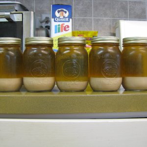 Yeastbigfile