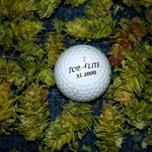 2008_Hops_005
