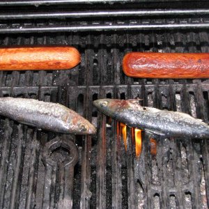 GrillingacoupleofSardines