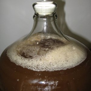 CiderwithNotty1