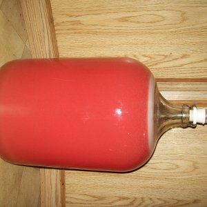 100_0027_Modified_in_Image_Viewer_