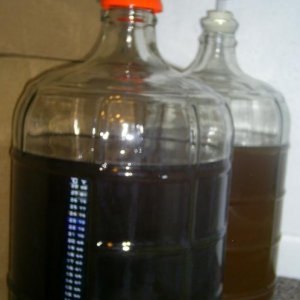 BlackKolsch