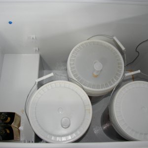 InsidetheFermentingFreezer
