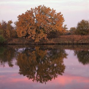 GreatPlainsNatureCentersunrise