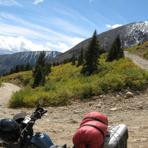 KLR650Mosquitopass