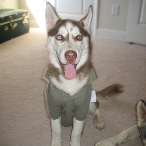 Picture_0042