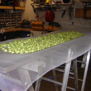 harvest3