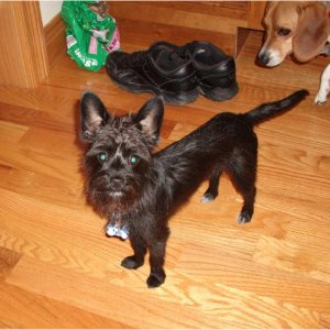MyLittleGreenBestFriend
