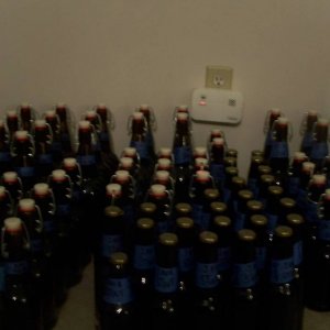 Copy_3_of_Beer5