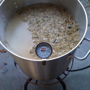 oudbruininpot