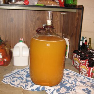Pumpkinmeade